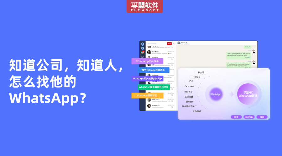 知道公司，知道人，怎么找他的WhatsApp