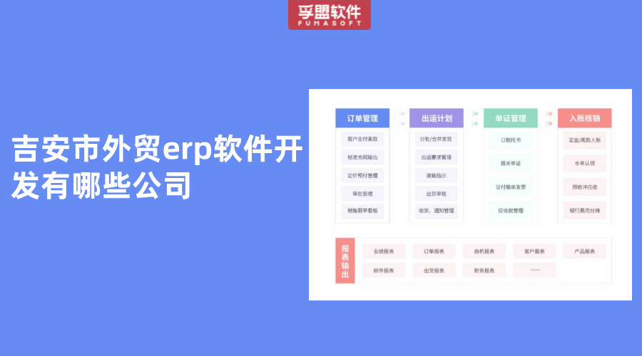吉安市外貿(mào)erp軟件開發(fā)有哪些公司