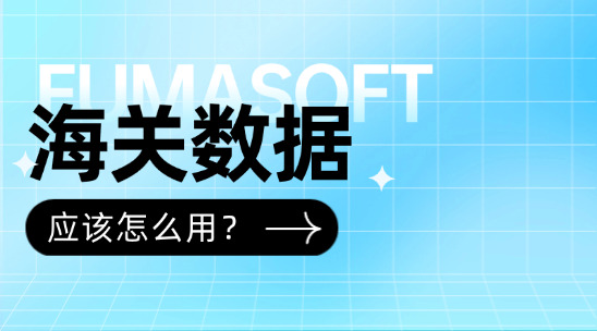 海關數據怎么用？從市場洞察到客戶管理的全流程解析