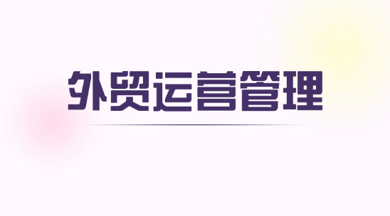 外貿運營管理系統排行榜推薦